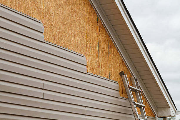 Professional Siding Repair technician working in Woodsboro, TX